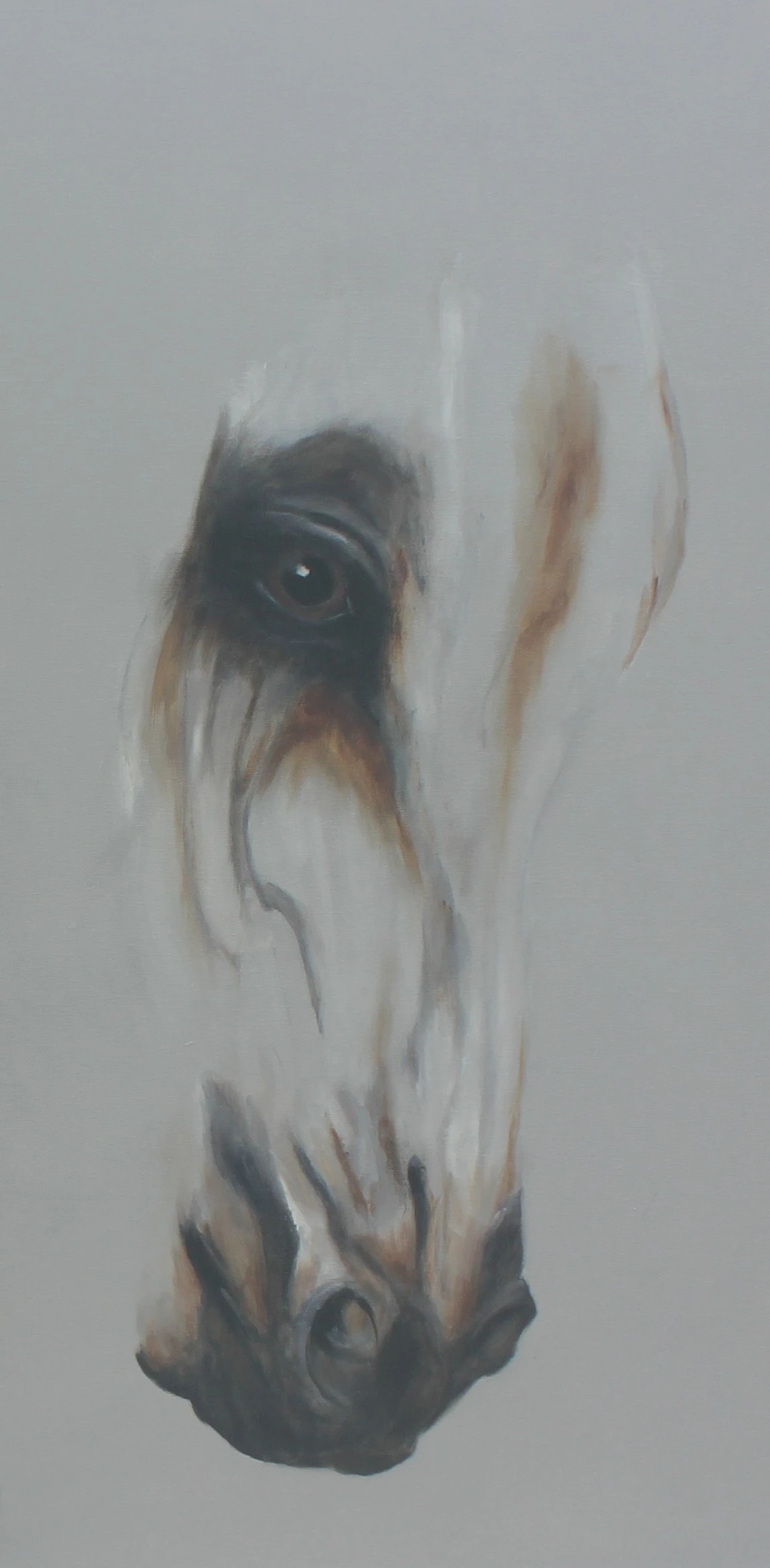 Caballo blanco
