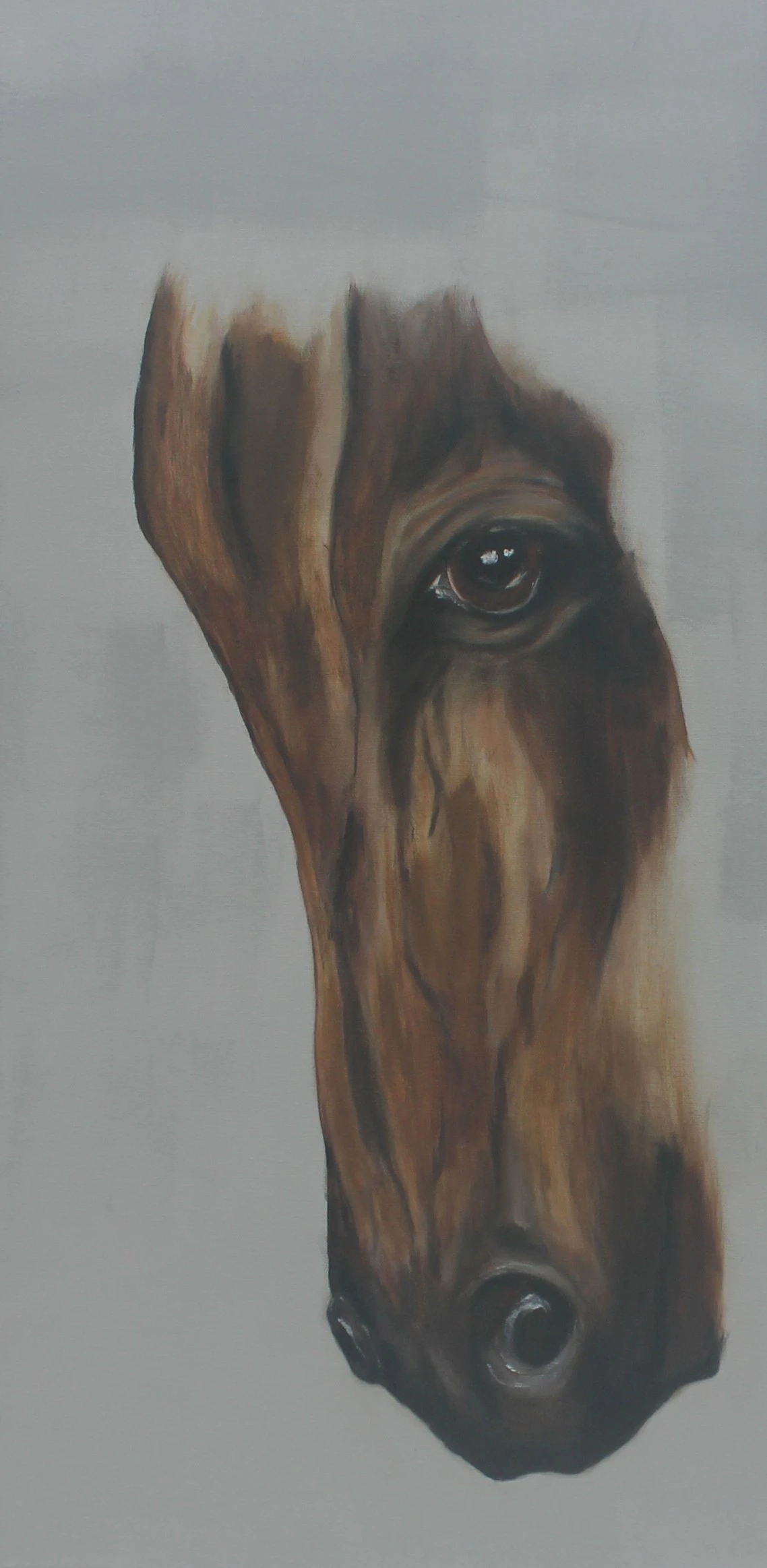Caballo marrón