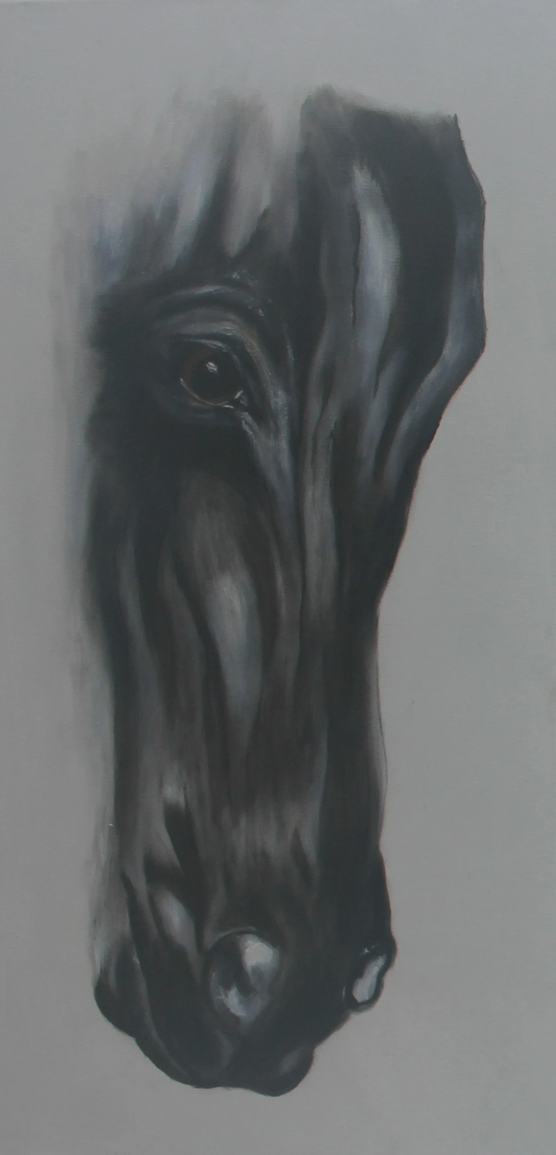 Caballo negro